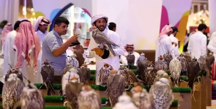  معرض الصقور السعودي.. المبيعات تتخطى رقما قياسيا في 3 أيام 