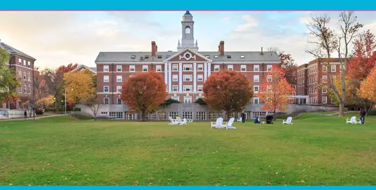  هارفارد الأولى.. 8 جامعات أمريكية بين العشرة الأفضل على مستوى العالم 