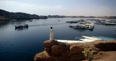 هل فعلا توجد «بلهارسيا» في نهر النيل؟