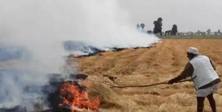  وزارة البيئة تحذر من حرق قش الأرز.. عقوبات للمخالفين 