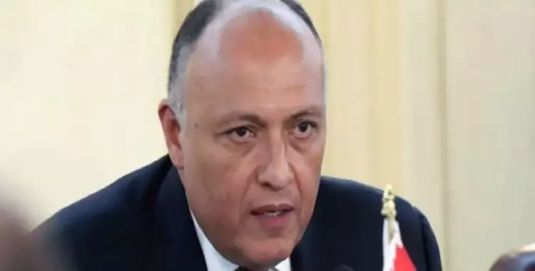  وزير الخارجية المصري يرفض وصف حماس بالإرهابية 