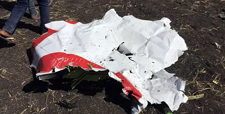  وفاة 3 باحثين مصريين في تحطم الطائرة الأثيوبية 