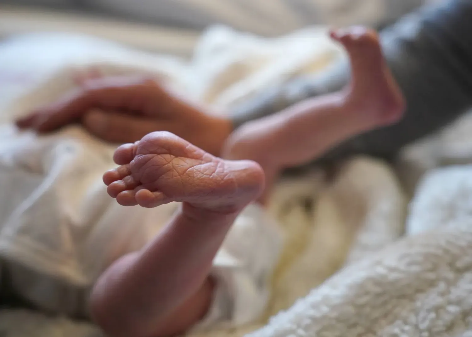 لأول مرة من 2007.. انخفاض عدد المواليد إلى أقل من 2 مليون خلال 2026