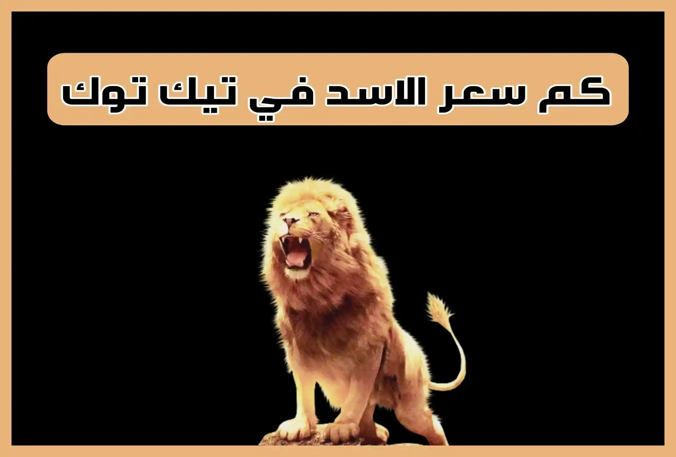 سعر الأسد تيك توك بالمصري والأجنبي.. التكبيس بيكسب ألفات